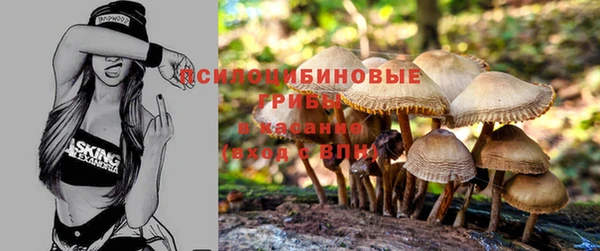 гидропоника Кукмор