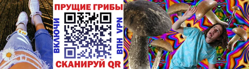 Галлюциногенные грибы мухоморы  Купить где  Зеленодольск 